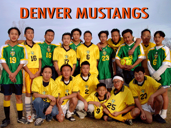 team2002.gif